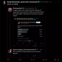 Screenshot 2024-11-13 002115.png