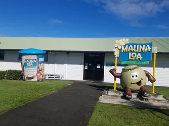 mauna-loa-macadamia-nut[1].jpg