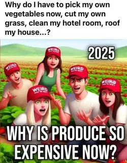 4rw7ib8u5o0e1.jpeg