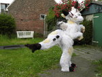 scone_the_dutch_angeldragon__fursuit__by_princehoshi-dahufk4.jpg