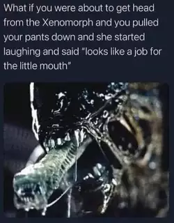 xph.jpeg