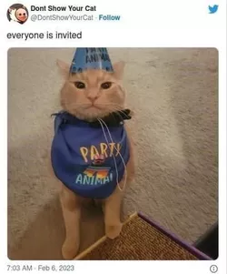 tell everyone (free cake !1!1!! 😁😁).jpeg.jpg