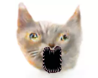 screamcat.png