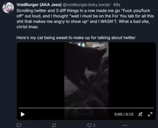 Captu  voidburger re.PNG