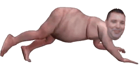 fatpiggif1.gif