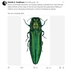1731642229400.png
