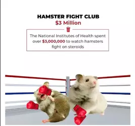 1731641986672537.png