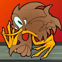 koat.png