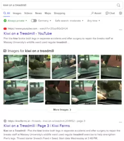 1731676040244.png