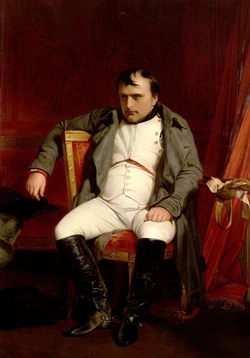 t5_09ter_napoleon_fontainebleau_full-tt-width-637-height-911-crop-1-bgcolor-ffffff-lazyload-0.jpg