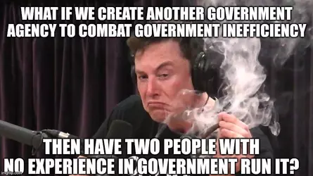 ag6u8mnz1z0e1.jpeg