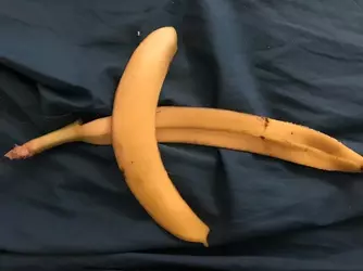 1731686296413.png