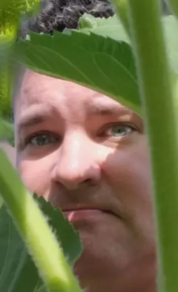 1731697123198.png