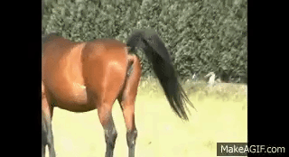 THEREALRTU - 1857552442415542331.gif