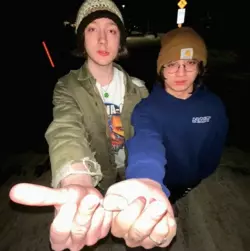 1731791910227.png