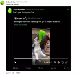 attentionwhore111624.png attentionwhore111624.png