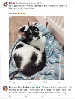 1731800127703.png