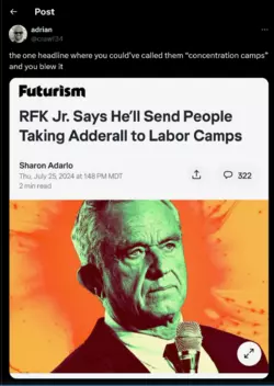 1731808735328.png