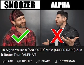 Snz.jpg