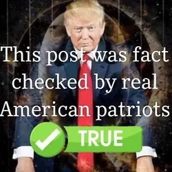 Patriot fact check.jpg