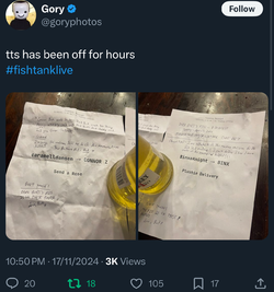 IMG_6714.jpeg