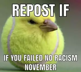 noracism.jpg