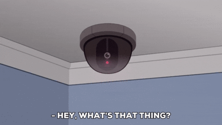giphy-3120460658.gif