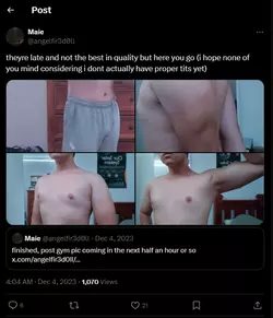1731860608733.png