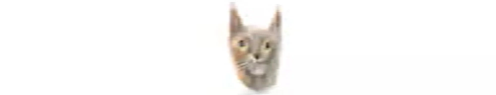 54069.jpg