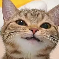 1697634208065096.png
