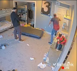 1731875199839.png