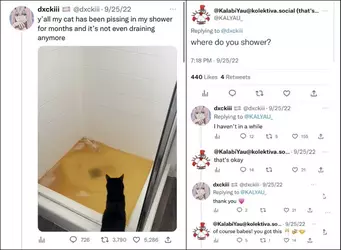 1731877418109.png