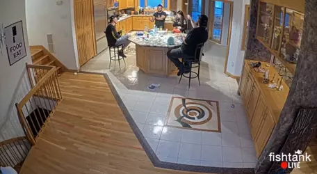 1731878095367.png