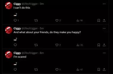 Screenshot 2024-11-17 135331.png