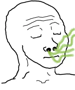 IMG_1372.jpeg