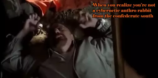 1731881181014.png