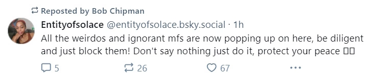mfs.jpg