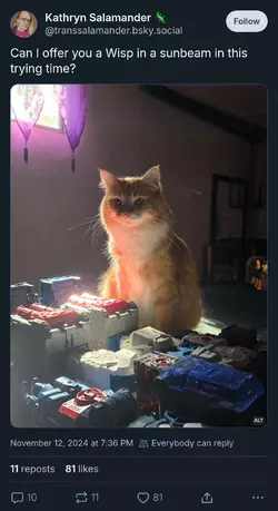 h.png