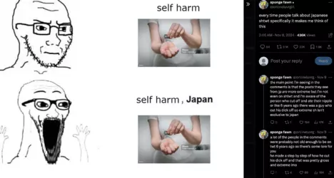 1731935319821.png