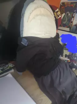 1731947703104.png