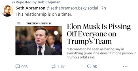 musk.jpg
