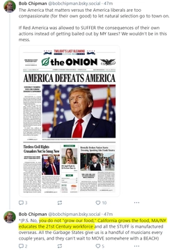 onion.jpg