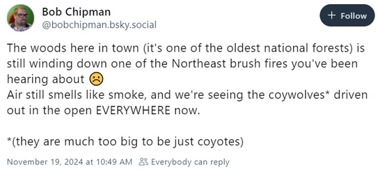 bushfire.jpg