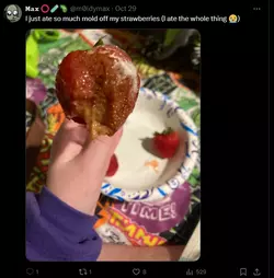 1731991823647.png