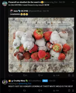 1731991844616.png