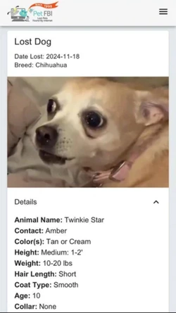 Screenshot_20241119_182240_Reddit.jpg
