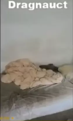 1732038646945.png 1732038646945.png