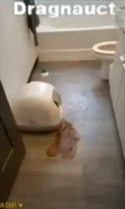 1732038807291.png