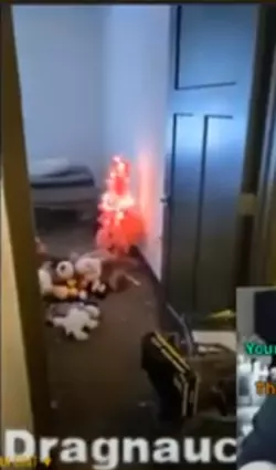 1732038999519.png 1732038999519.png
