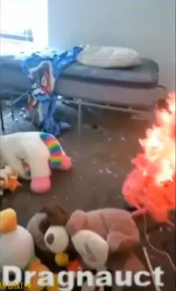 1732039306387.png